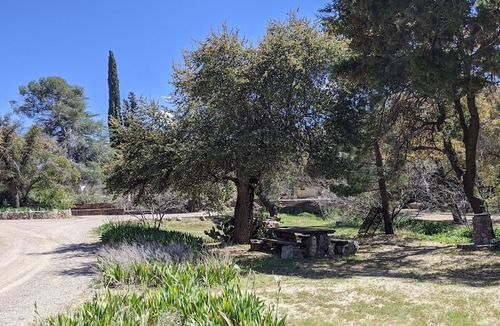 Oracle Hotel | El Rancho Robles
