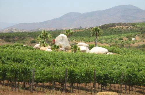 San Antonio de las Minas Hotel | En'kanto Valle de Guadalupe