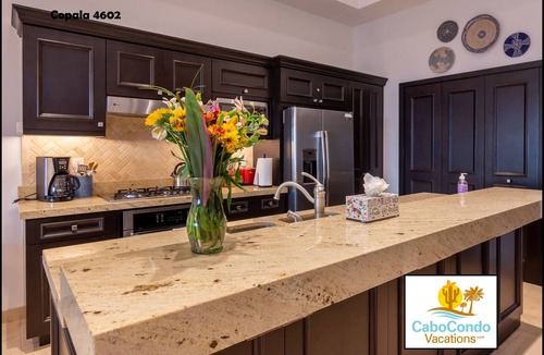 Pedregal Condo | FREE NIGHT STAY! CCV Quivira -Pvt Penthouse, Oceanview, Roof Top HotTub,7Resorts
