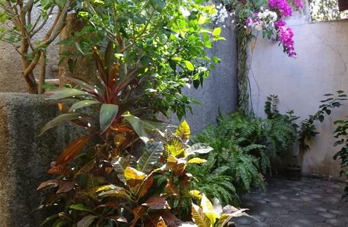 Zihuatanejo Apartment | Furnished 1-bedroom apartment at El Tamarindo at Casa Calamondin