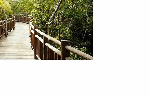 Villa Juarez Resort | Grand Luxxe Riviera Maya 4 Bedroom