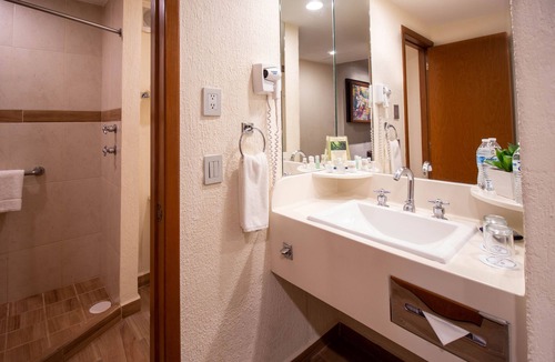 Zona Expo Hotel | Guadalajara Plaza Expo Business Class