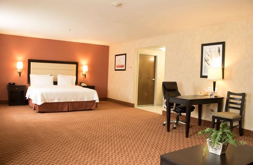 Ciudad Victoria Hotel | Hampton Inn by Hilton Ciudad Victoria