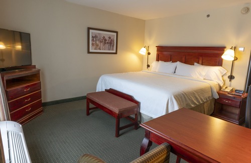 Tlaquepaque Hotel | Hampton Inn by Hilton Guadalajara-Aeropuerto