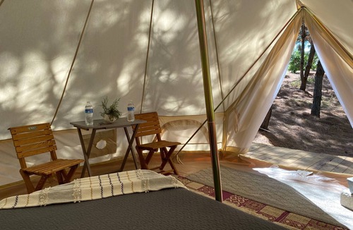 Mascota RV Rental | Hermosa Tienda Glamping Internada en el Bosque de Mascota; Jal