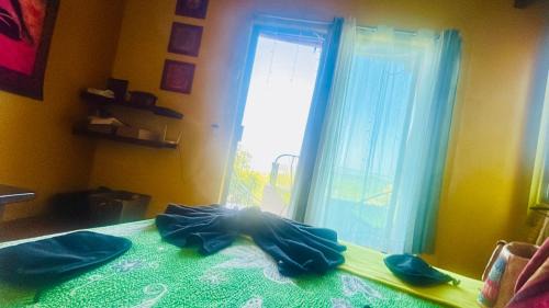 La Manzanilla House | Hippie Palace Rooftop Fun Ocean Views And Sunset Vibes