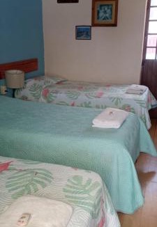 Zona Minerva House | Hostal Don Felipe