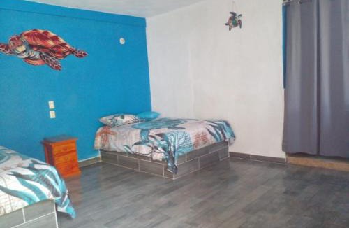 Sontecomapan House | Hostal