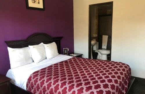 Zona Centro Hotel | HOTEL BUGAMBILIAS