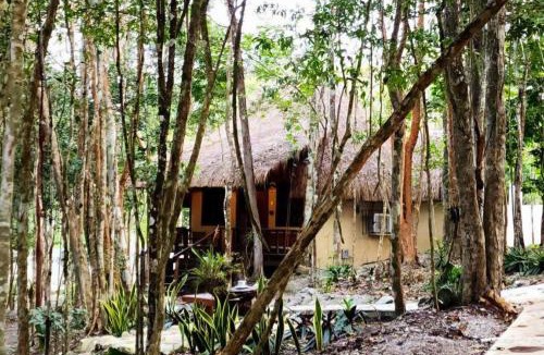 Xpujil House | Hotel Cabañas Aldea Maya
