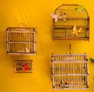 Comala Bed & Breakfast | Hotel Casa Alvarada
