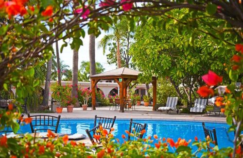 Navojoa Hotel | Hotel Del Rio