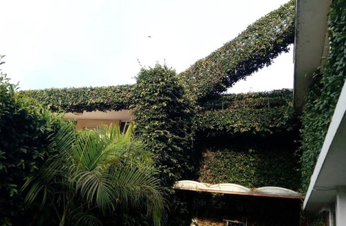 Morelia Hotel | Hotel Mezvall