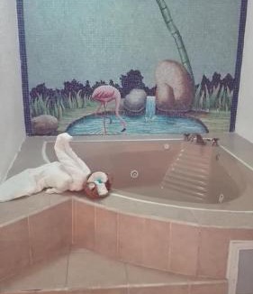 Teotihuacan Hotel | Hotel Ollin Teotl
