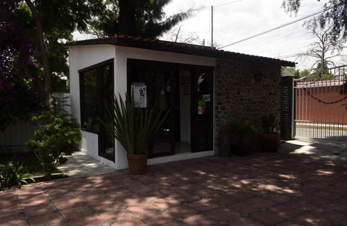 Teotihuacan Centro Hotel | Hotel Palmas Teotihuacán