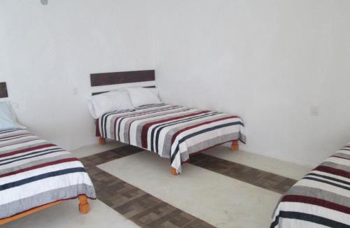 Tamasopo Hotel | Hotel Pedregal