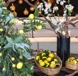 Reynosa Hotel | Hotel Posada San Antonio