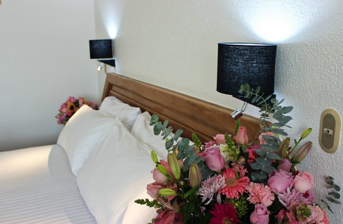 San Juan del Rio Hotel | Hotel San Juan Park