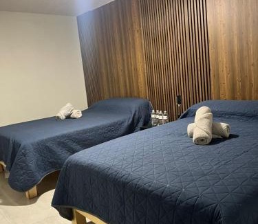 Tepatitlan de Morelos Hotel | Hotel Urban Matamoros