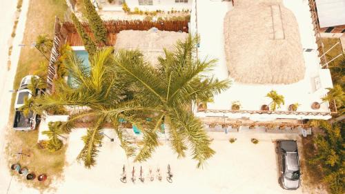 Xul-Ha Hotel | Hotel y Beach Club Casa Mia Xulha -Bacalar