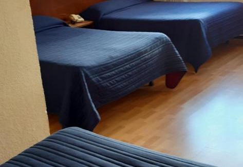 Zacatecas Centro Hotel | Hotel Zacatecas Courts
