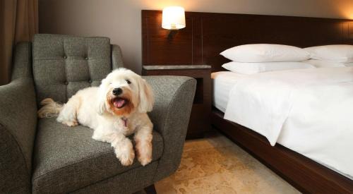 Villahermosa Hotel | Hyatt Regency Villahermosa