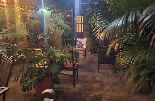 Guadalajara Apartment | In the heart of PueblitoFast Wifi Private Apt-Street Entry-Garden-CableTV