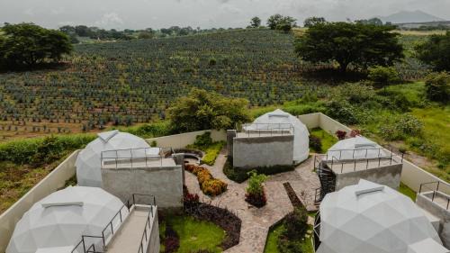 Tequila Hotel | Ishak Glamping