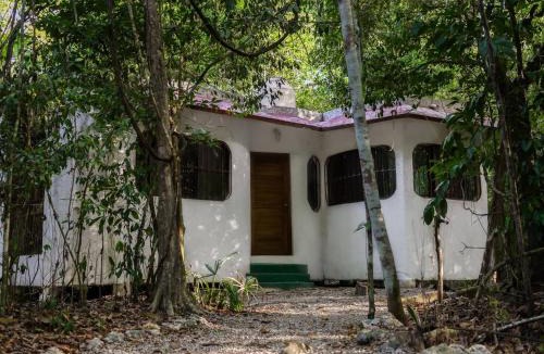 Leona Vicario Hotel | Jolie Jungle Eco Hotel