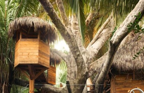Lo de Marcos House | Just What You Were Looking For! Pools, Beachfront, Free Breakfast, Pets Allowed!