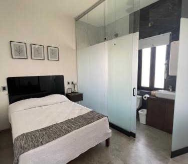 Leon Centro Hotel | La Casa Mia Leon