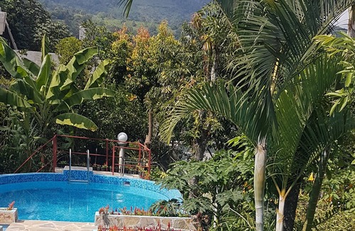 Xilitla House | La casona de MaryChuy