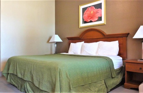 McAllen Hotel | La Copa Inn