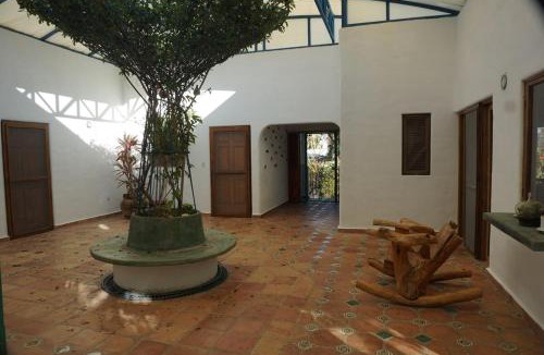 Cabo San Lucas Apartment | Large studio with private patio in Casa Cornucopia