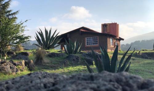 Jocotitlan Cabin | Las Cabañas Mavoro