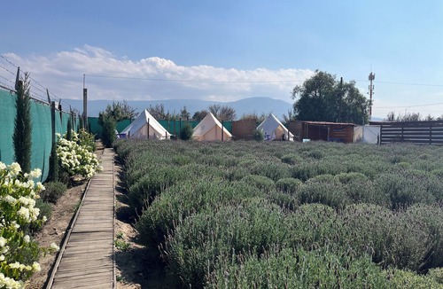 Texcoco de Mora RV Rental | Lavender Dream in Glamping Rincón de Lavanda
