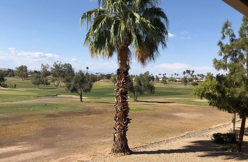 Sun City West Condo | Lovely View At The Top 55 & Older Development in the US
