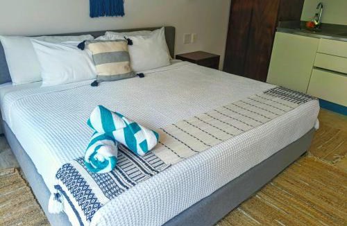 Tulum Apartment | luxury central park lagunas