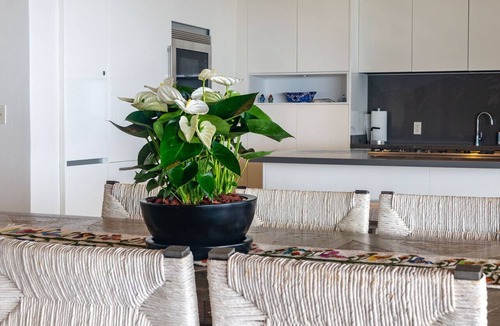 Punta de Mita Apartment | Luxury PH Vista Ballena in Tau | Staff, Golf Cart, Ocean + Golf Views, Pool – by Mita Residential