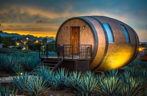Tequila Hotel | Matices Hotel de Barricas