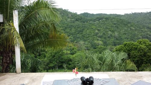 Estero Franco Other | Mayan World Adventures Jungle Experience