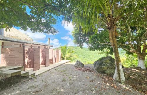 Estero Franco Other | Mayan World Adventures Jungle Experience