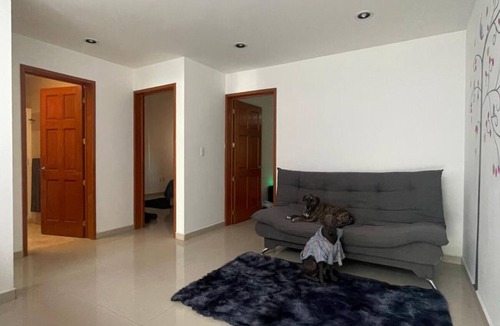Queretaro Apartment | MillenniumIII - Bed/Matrimonial - Shared Bathroom and/or SofaBed - PET Friendly