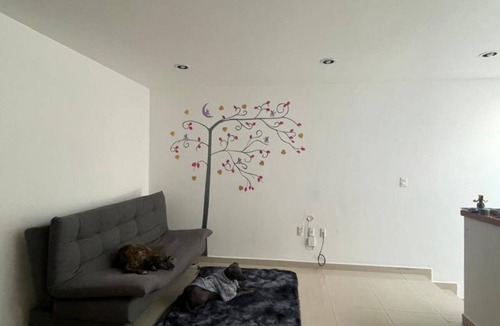 Queretaro Apartment | MillenniumIII - Bed/Matrimonial - Shared Bathroom and/or SofaBed - PET Friendly