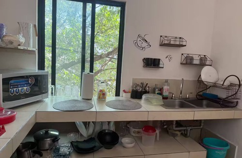 Monterrey Municipality Apartment | Minimalist loft in Tec zone with parking