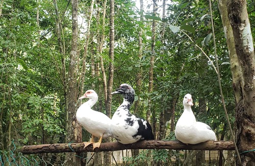 Cancun Cabin | Modern Cabin in the Mayan Jungle Ecological Reserve