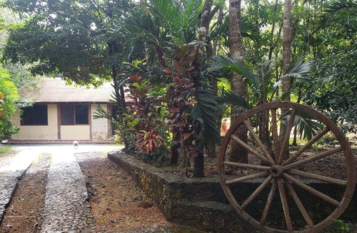 Cancun Cabin | Modern Cabin in the Mayan Jungle Ecological Reserve