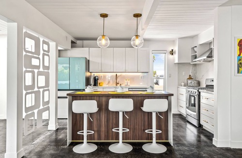 Racquet Club Estates House | Modern Pup — Mid-Century Charm Meets Canine Luxury in Palm Springs