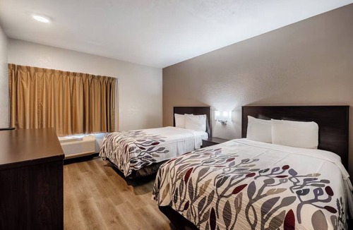 Cortaro Hotel | Modern Room Perfect for Road Trippers Near I-10 – Convenient & Affordable