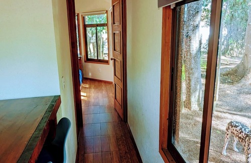 Ixtapa Cabin | Free pet-friendly nice Cabin/Wifi/AC/Kitchen/Grill